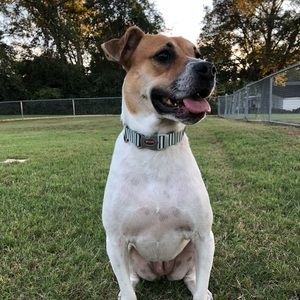 Meet your Posher, Christy